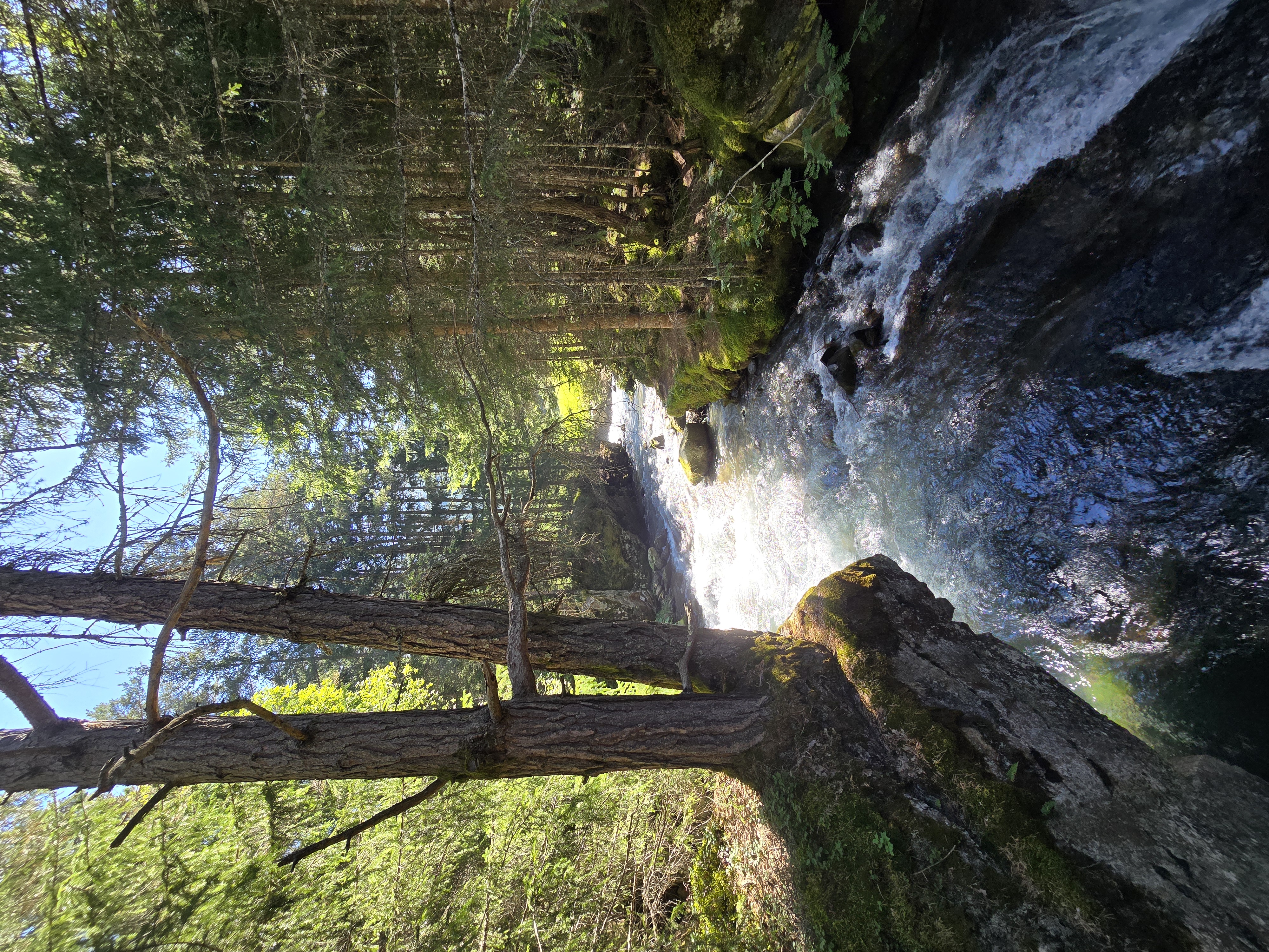 Bergbach im sonnigen Wald beim Stuibenfall